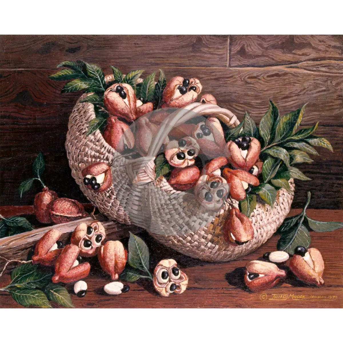 Ackee by David Moore