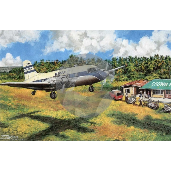 Arriving at Crown Point Airport by David Moore