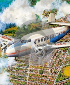 BWIA Plane in Flight by David Moore