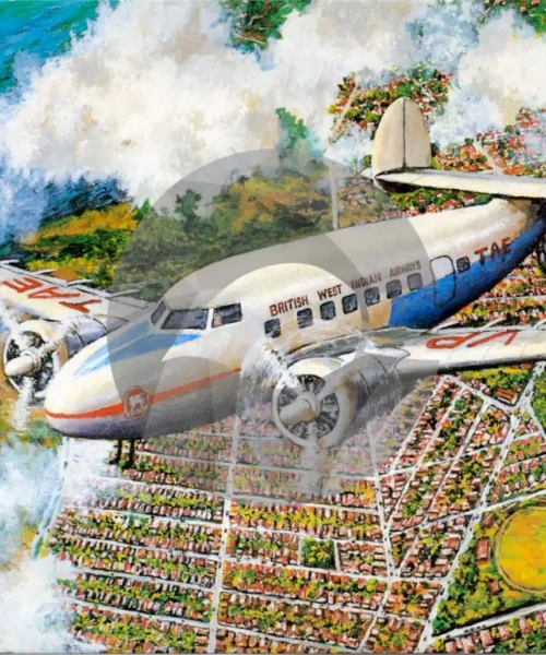 BWIA Plane in Flight by David Moore