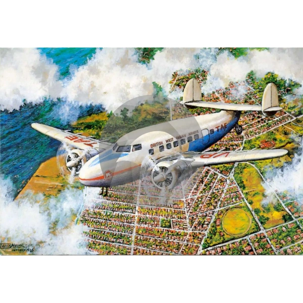BWIA Plane in Flight by David Moore