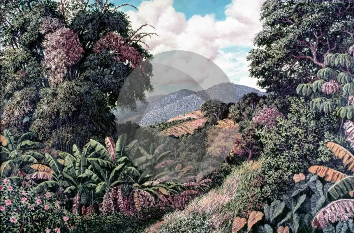 Our Caribbean Art