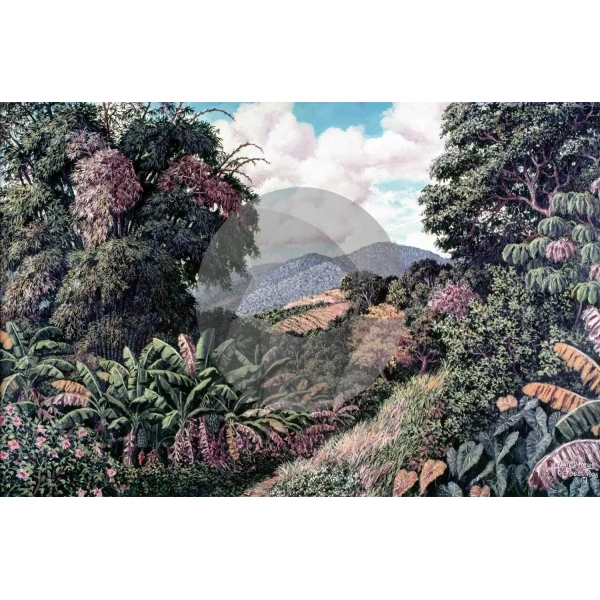 Bamboo Patch by David Moore