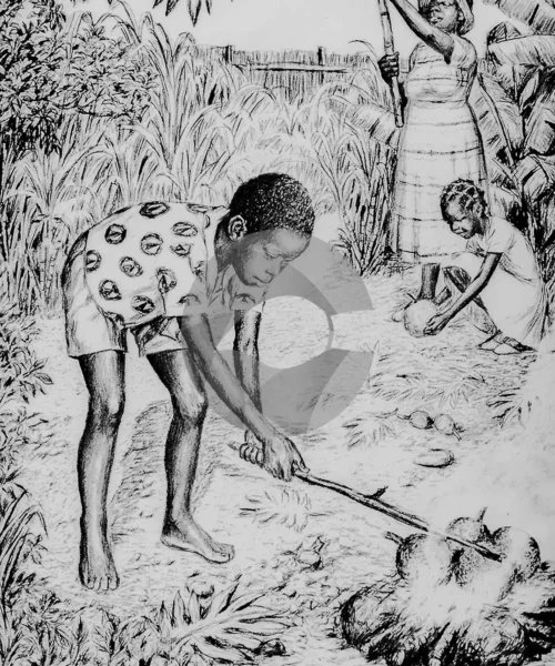 Roasting Breadfruit by David Moore