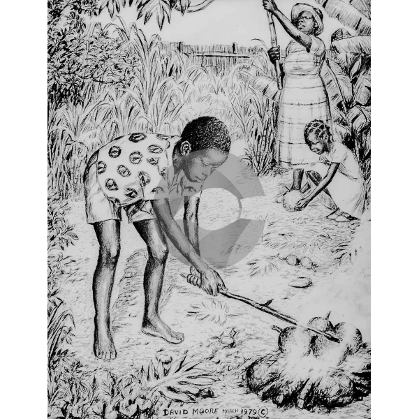 Roasting Breadfruit by David Moore