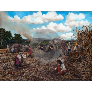 Cane Harvesting by David Moore