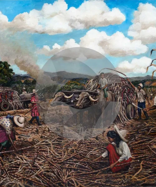 Cane Harvesting by David Moore