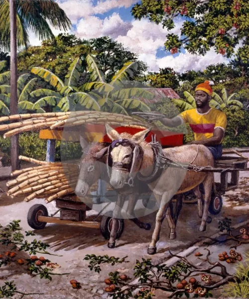 Cane Vendor by David Moore