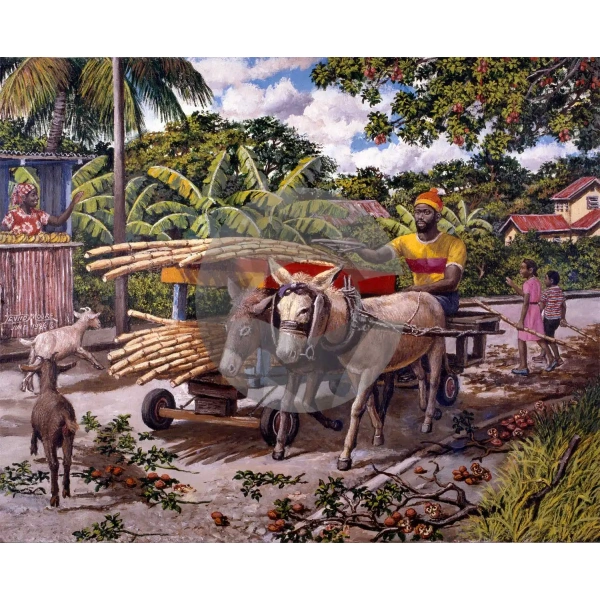 Cane Vendor by David Moore