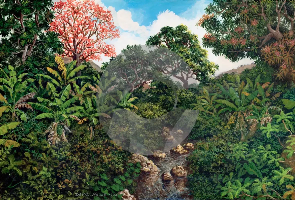 Our Caribbean Art