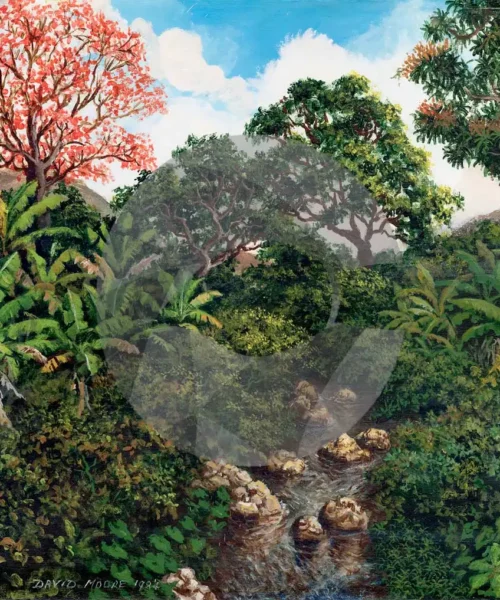 Caribbean River by David Moore