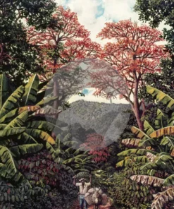 Coming Home by David Moore