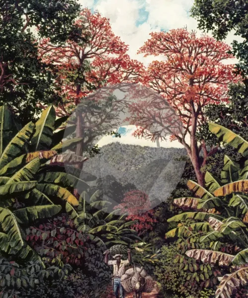 Coming Home by David Moore