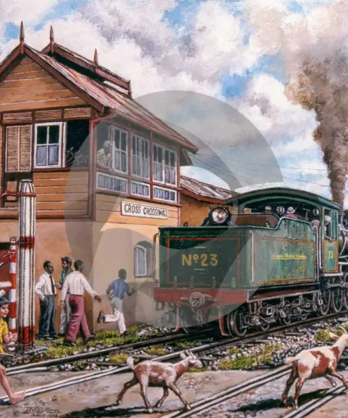 Cross Crossing, San Fernando by David Moore