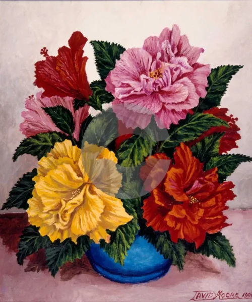 Hibiscus Flowers by David Moore