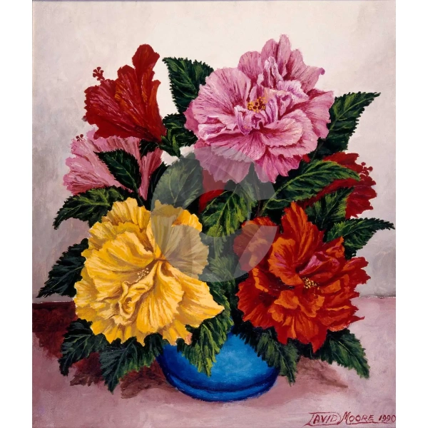 Hibiscus Flowers by David Moore