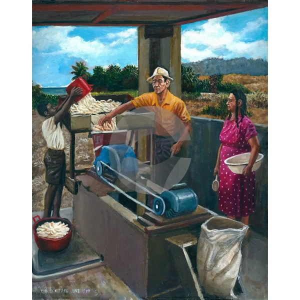 Making Farine by David Moore