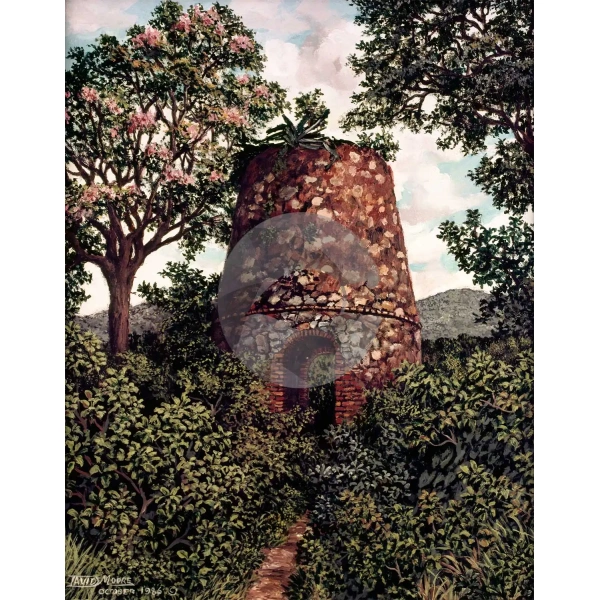 Old Sugar Mill by David Moore