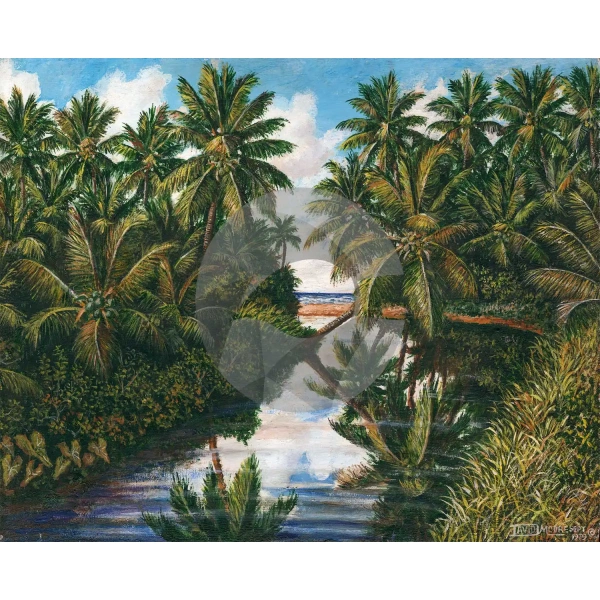 River Mouth in Toco by David Moore