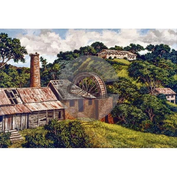 Speyside Waterwheel, Tobago by David Moore