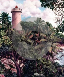 Toco Lighthouse by David Moore
