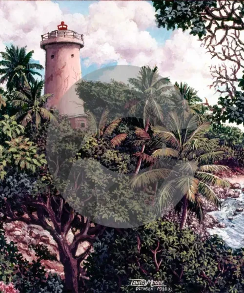 Toco Lighthouse by David Moore