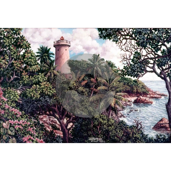 Toco Lighthouse by David Moore