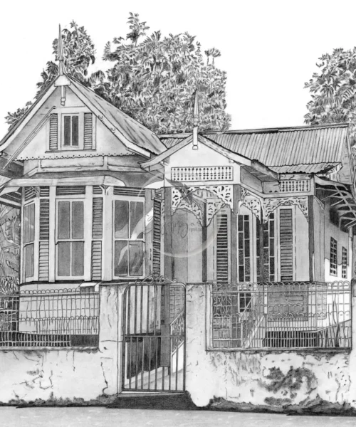 Ana St. Woodbrook by Zzoppyart