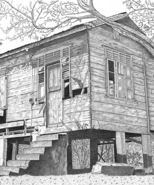 Plymouth, Tobago by Zzoppyart