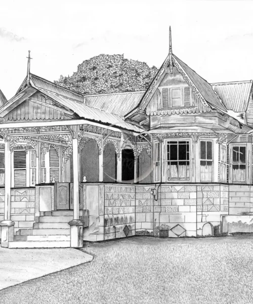 Salamat Ali House, Arima by Zzoppyart