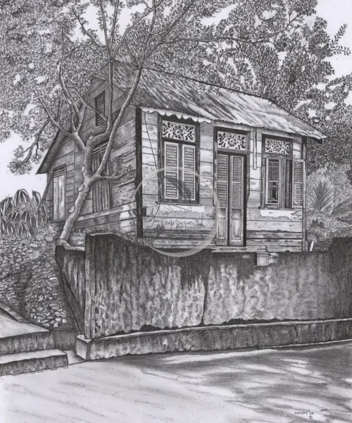 14 Farrell Lane, Belmont by Zzoppyart