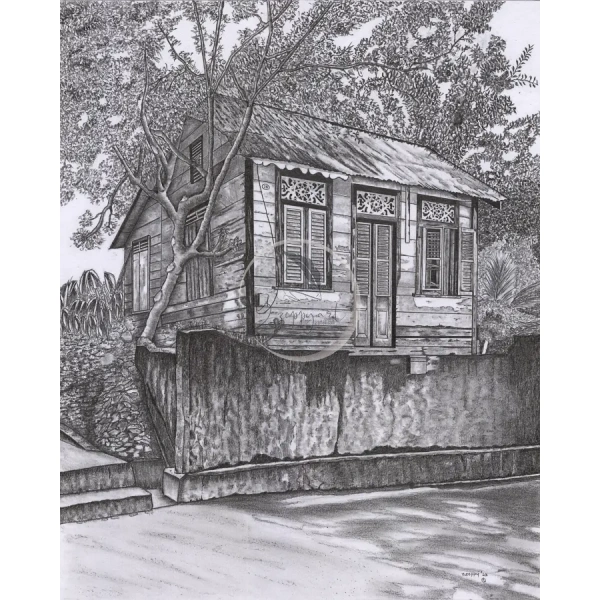 14 Farrell Lane, Belmont by Zzoppyart