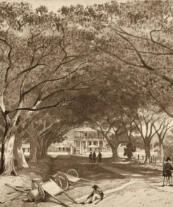 Avenue and Entrance to St. James Barracks by Michel Jean Cazabon