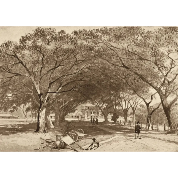 Avenue and Entrance to St. James Barracks by Michel Jean Cazabon