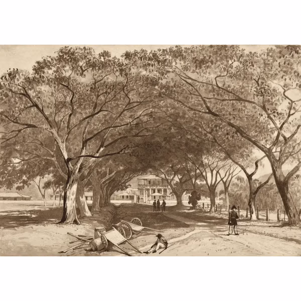 Avenue and Entrance to St. James Barracks by Michel Jean Cazabon