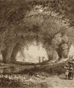 Bamboos, St. Anns by Michel Jean Cazabon