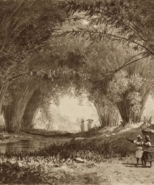 Bamboos, St. Anns by Michel Jean Cazabon