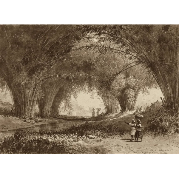 Bamboos, St. Anns by Michel Jean Cazabon