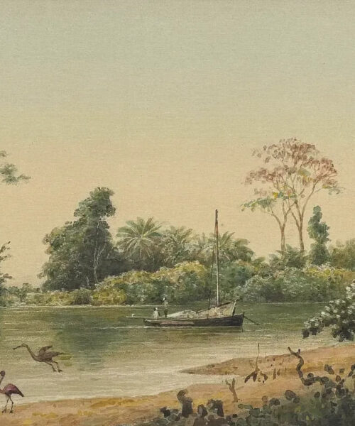 Caroni River, Trinidad by Michel Jean Cazabon