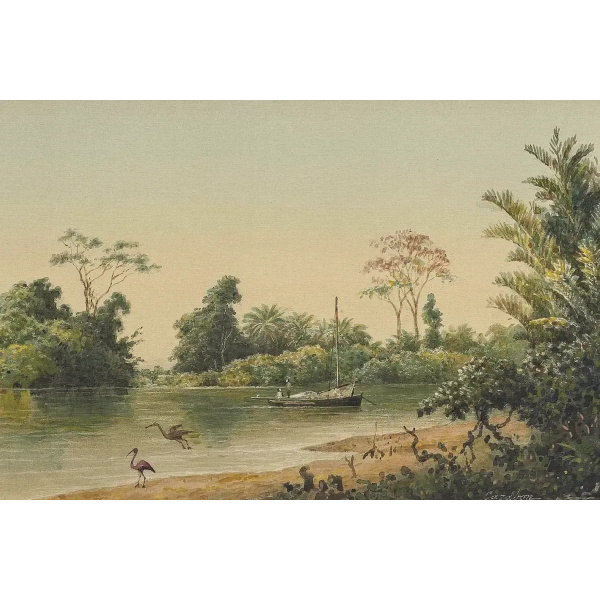 Caroni River, Trinidad by Michel Jean Cazabon