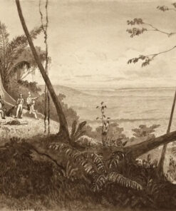 Cedar Point, Tamana by Michel Jean Cazabon