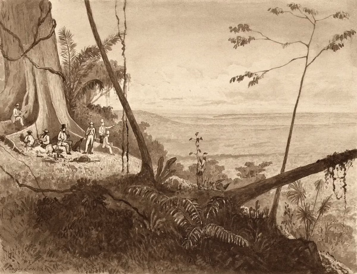 Cedar Point, Tamana by Michel Jean Cazabon