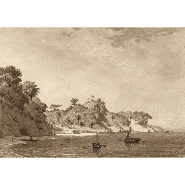 Cedros Bay by Michel Jean Cazabon