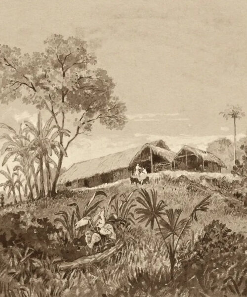 Cottage at Tamana by Michel Jean Cazabon