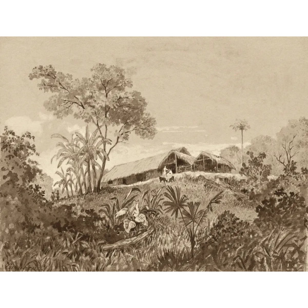 Cottage at Tamana by Michel Jean Cazabon