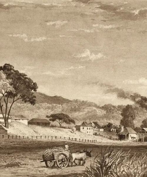 Garden Estate, Arouca by Michel Jean Cazabon