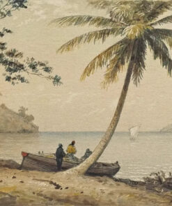 In the 1st Boca by Michel Jean Cazabon