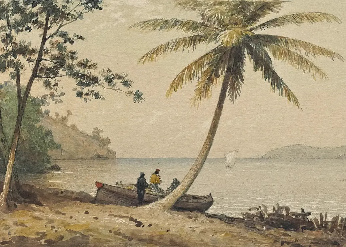 In the 1st Boca by Michel Jean Cazabon