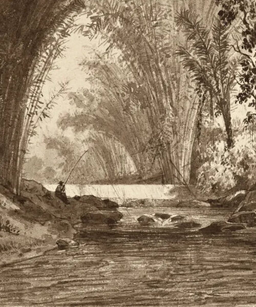 La Digue, Maraval by Michel Jean Cazabon