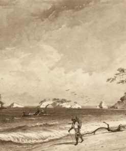 Los Gallos, Icacos Bay by Michel Jean Cazabon